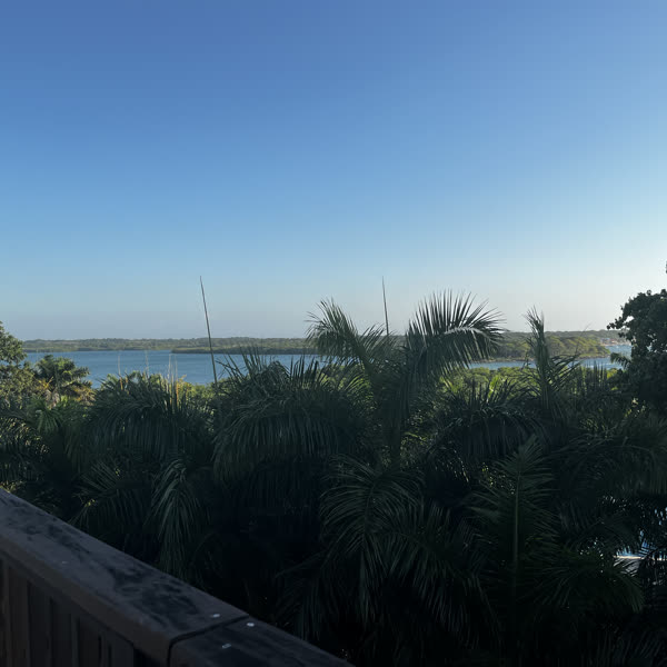 Palm trees and a turquoise bay seen from a wooden deck in Barú